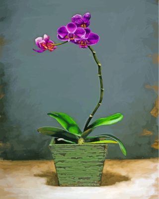 Purple Orchids paint by numbers