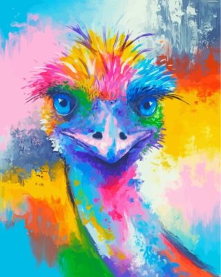 Rainbow Emu Bird paint by numbers