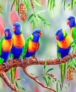 Colorful Lorikeet Birds paint by numbers