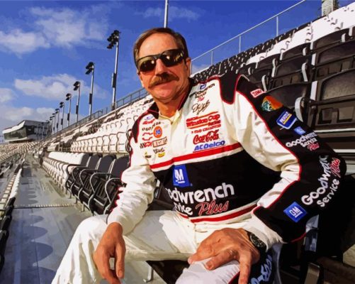 Ralph Dale Earnhardt Sr paint by numbers