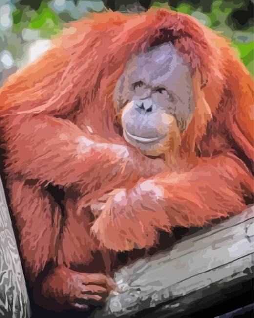 Aesthetic Ape Monkey Animal paint by numbers