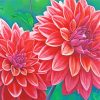 Blooming Dahlia Flowers paint by numbers