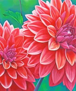 Blooming Dahlia Flowers paint by numbers