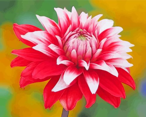 Aesthetic Dahlia Flower paint by numbers