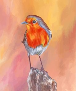 Cute Robin Bird paint by numbers