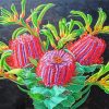 Scarlet Banksia Plant Art paint by numbers