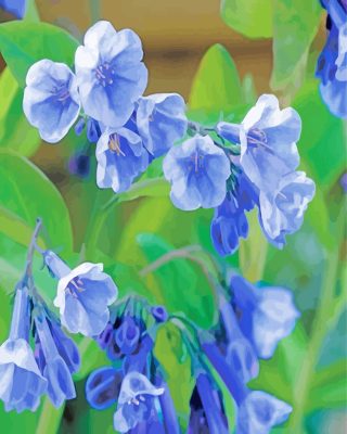 Virginia Bluebells paint by numbers