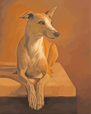 Portrait Of Whippet Dog paint by numbers