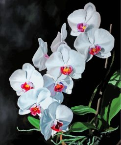 Aesthetic White Orchids paint by numbers