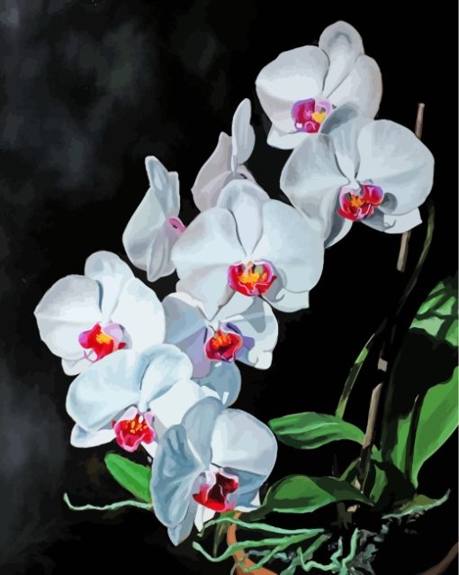 Aesthetic White Orchids paint by numbers