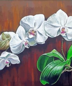 White Orchids Flowers paint by numbers