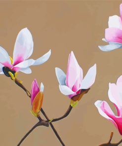 White Pink Magnolia Flowers paint by numbers