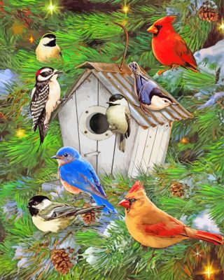 Winter Birdhouse paint by numbers