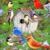 Winter Birdhouse paint by numbers