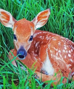 Adorable Fawn Animal paint by numbers