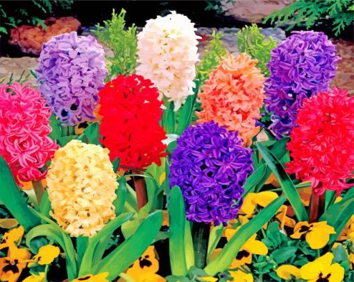 Beautiful Hyacinth Flowers paint by numbers