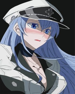 Aesthetic Esdeath paint by numbers