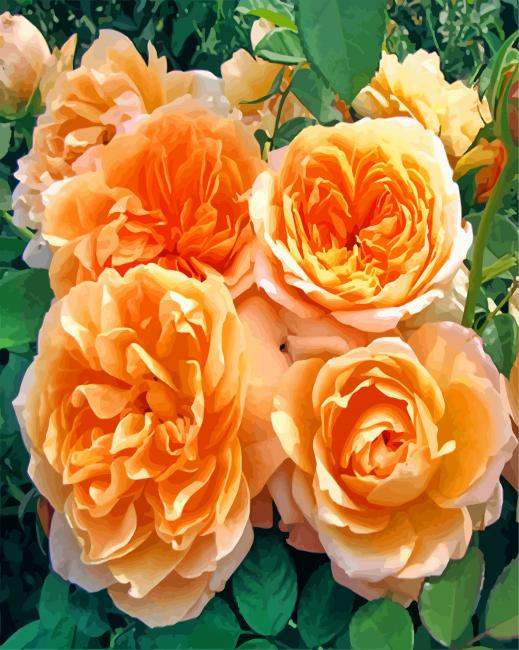Aesthetics Floribunda Flowers paint by numbers