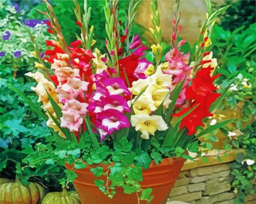 Aesthetic Gladiolus Flowers paint by numbers