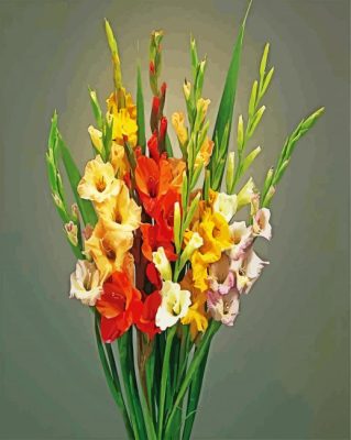 Colorful Gladiolus Flowers paint by numbers