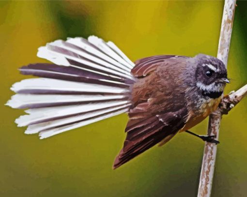 Fantail Bird On Stick paint by numbers