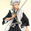 Hitsugaya Anime paint by numbers