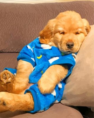 Afternoon Nap Golden Retriever paint by numbers