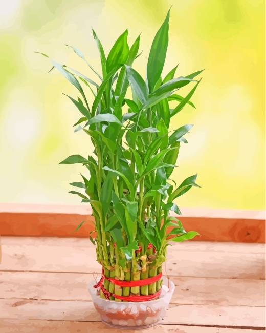 Green Bamboo Plants paint by numbers