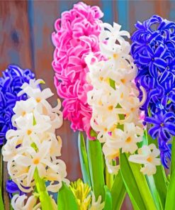 Aesthetic Hyacinth Flowers paint by numbers