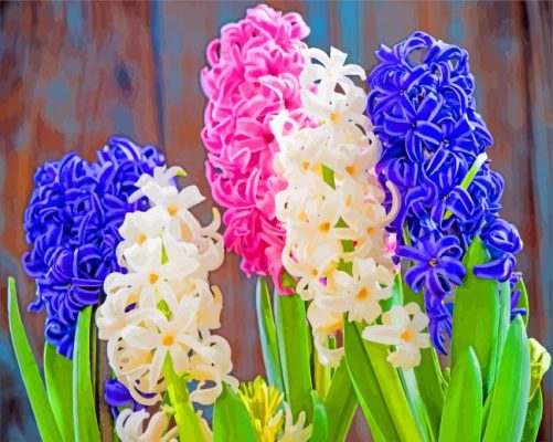 Aesthetic Hyacinth Flowers paint by numbers