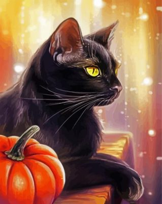 Black Cat And Pumpkin paint by numbers