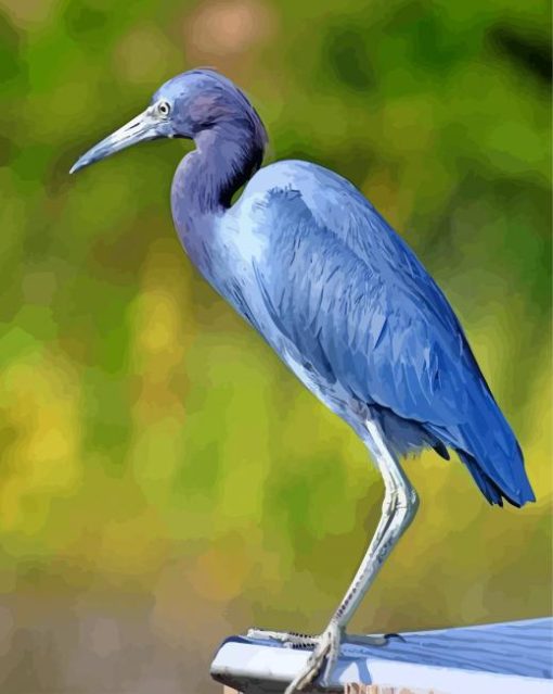 Blue Heron Bird paint by numbers