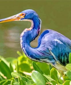 Aesthetic Blue Heron Bird paint by numbers