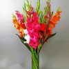 Bouquet Of Gladiolus paint by numbers