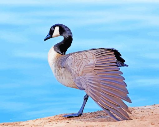 Aesthetic Canada Goose paint by numbers
