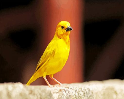 Yellow Canary Bird paint by numbers