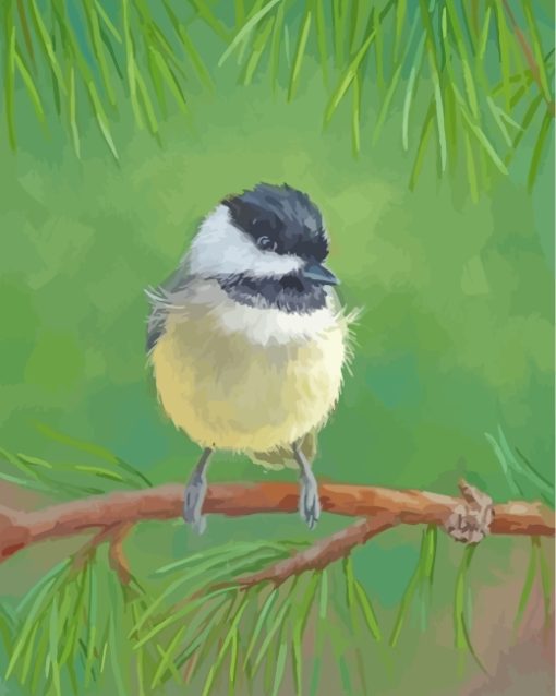 Cap Chickadee On Stick paint by numbers