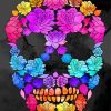 Colorful Floral skull paint by numbers