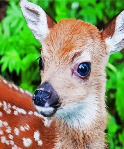 Cute Fawn Animal paint by numbers