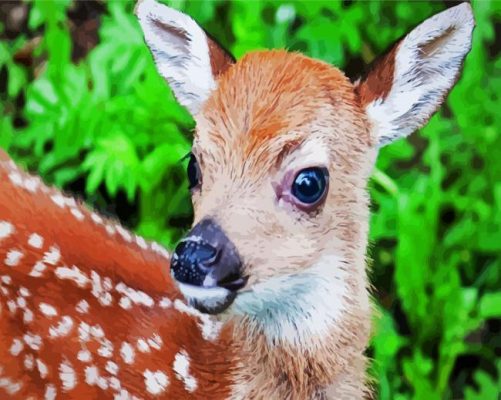 Cute Fawn Animal paint by numbers