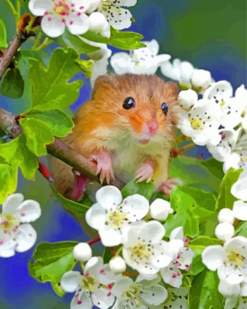 Hamster With White Flowers paint by numbers