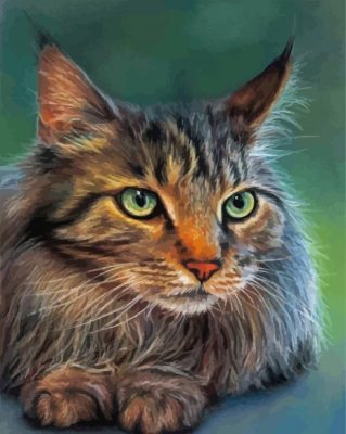 Cute Maine Coon paint by numbers