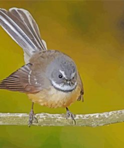 Cute Fantail Bird paint by numbers