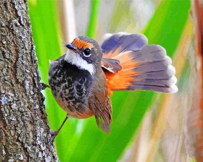 Fantail Bird Animal paint by numbers