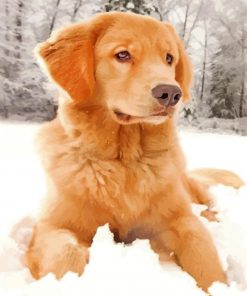 Golden Retriever Dog paint by numbers