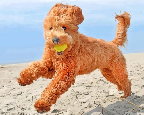 Happy Goldendoodles Playing paint by numbers