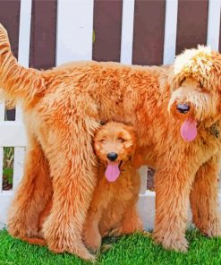 Adorable Goldendoodle Dogs paint by numbers