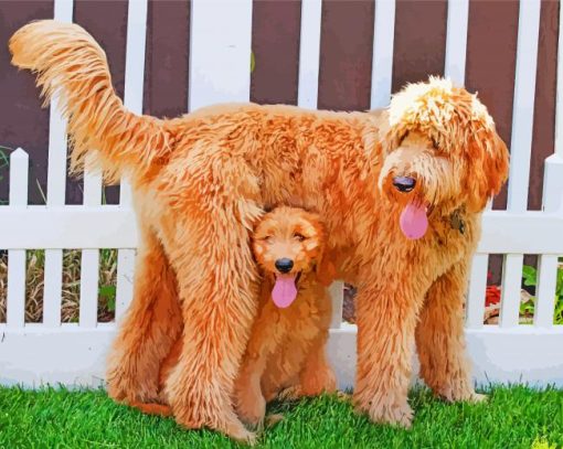 Adorable Goldendoodle Dogs paint by numbers