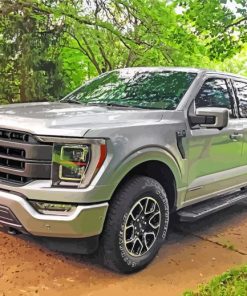 Grey Ford F150 paint by numbers