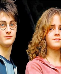 Hermione And Harry Potter paint by numbers